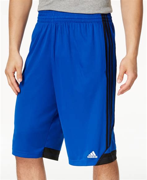 Amazon.com: Blue Adidas Shorts Men